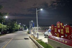 KY.COM开云官网(中国)有限公司集团罗宁弟爱心捐赠路灯，点亮乡村路温暖乡民心